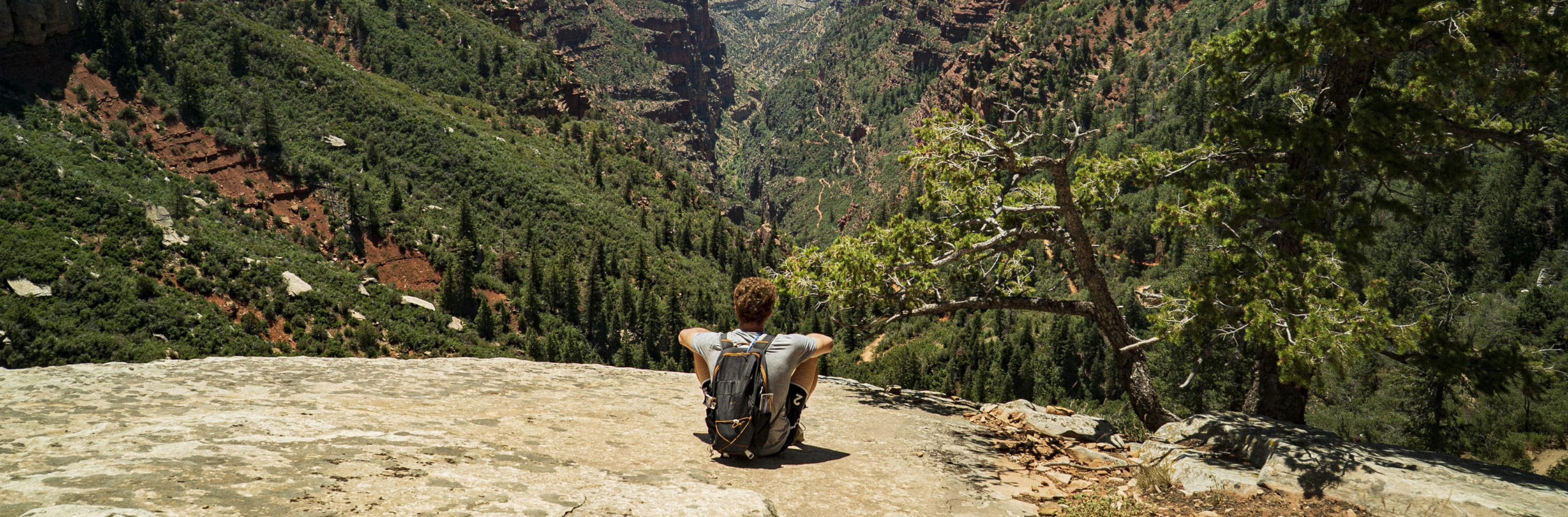 photo d'un homme assis sur rocher qui surplombe une forêt